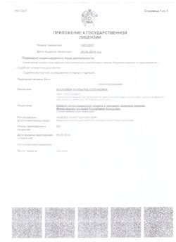 Приложение к государственной лицензии